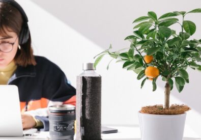 Portugal.info –...